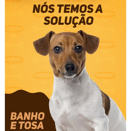 Exclusive Access to Pet Shop Design Files - Google Drive Folder