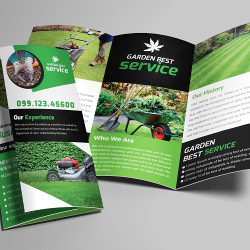 27 - Professional Trifold Design Assets Access