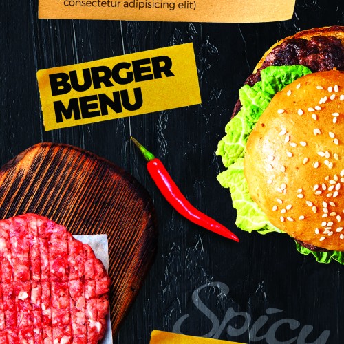 Burger Menu Vertical Design Assets