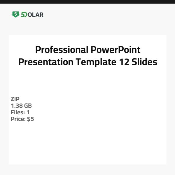 Professional PowerPoint Presentation Template - 12 Slides