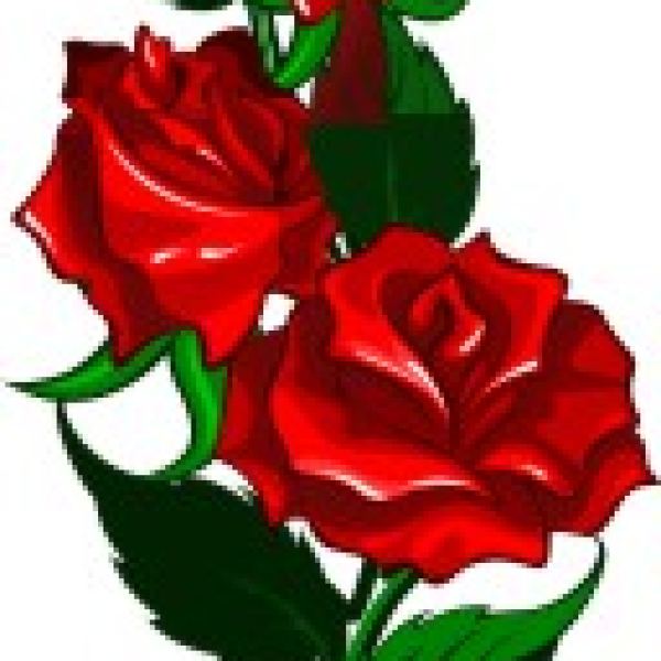 Zugang zur Flores Digital Design Sammlung