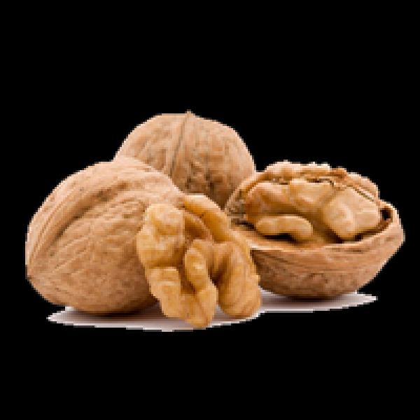 Hochwertige Walnuss PNG-Bilder Sammlung