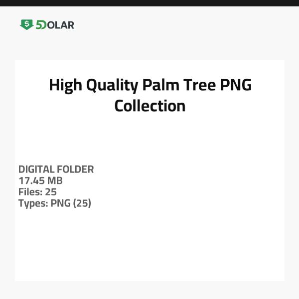 Hochwertige Palmbaum PNG Sammlung