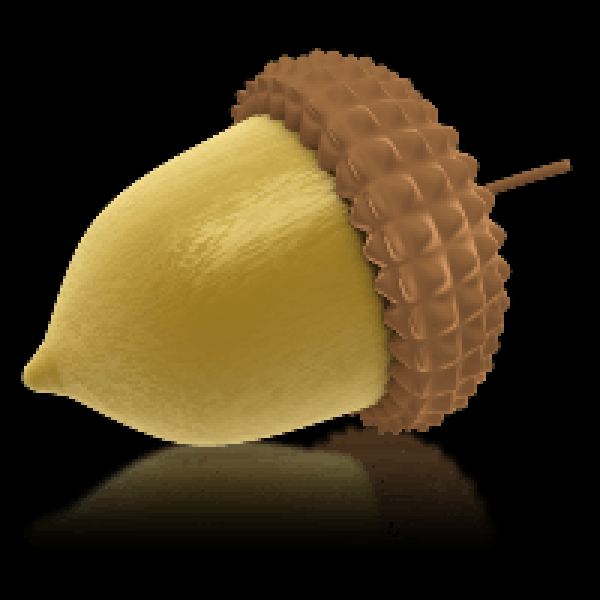 Eichel PNG Sammlung - 43 Hochwertige Bilder