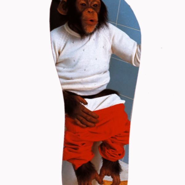 Access to MACACO 35-36 Image Collection