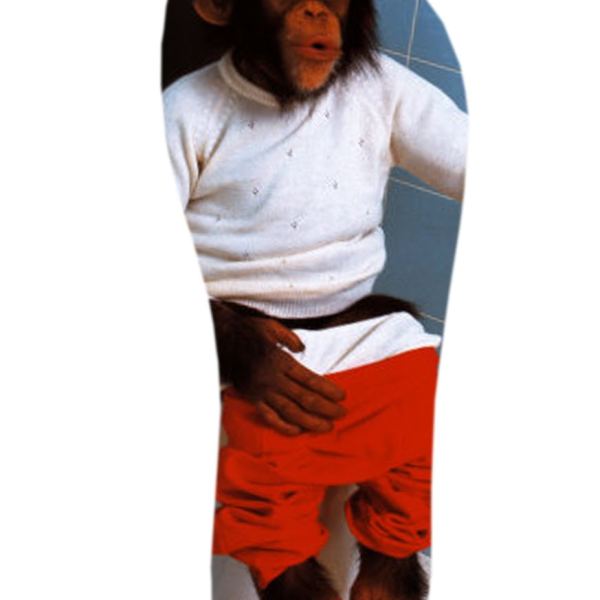 Access to MACACÃO- 37-38 Image Collection