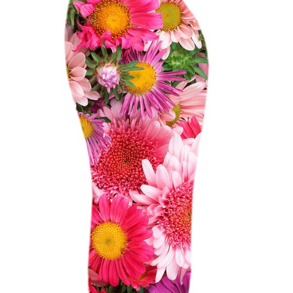 Exclusive Access to Florida1-N° 35.36_37.38 Image Collection