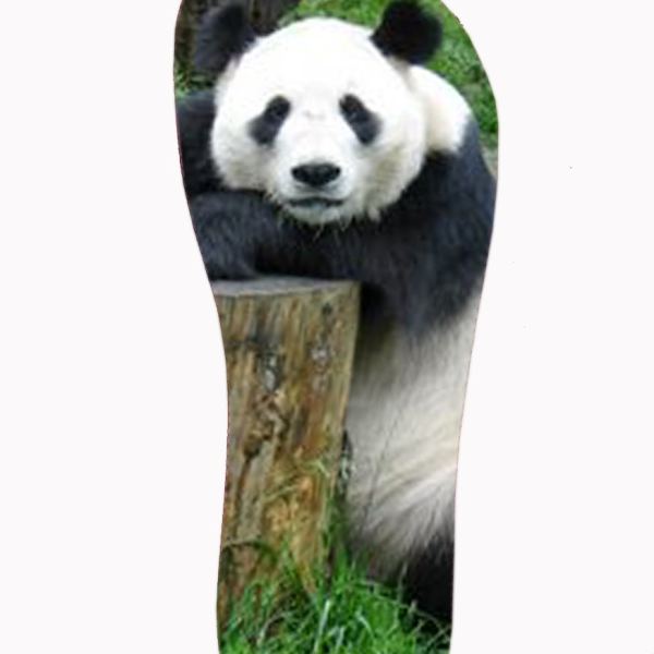 PANDA N°35-36 - Exclusive Access to Image Collection