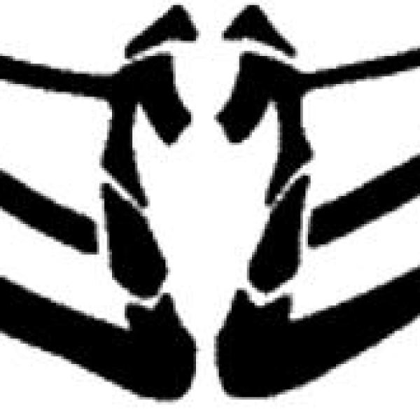 Access to Animais Insetos Google Drive Folder