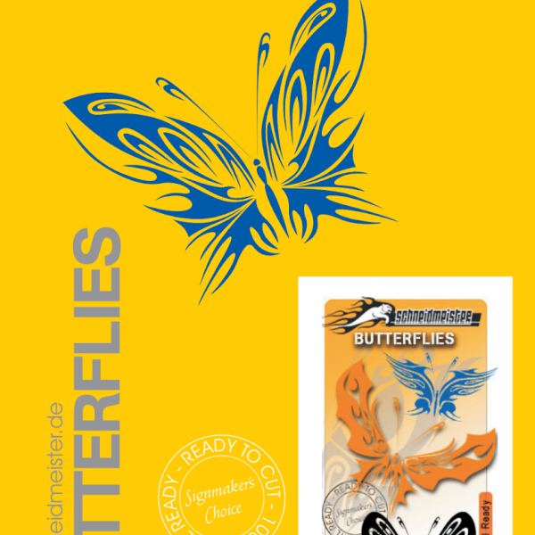 Access to Tribal Borboletas CDR Collection