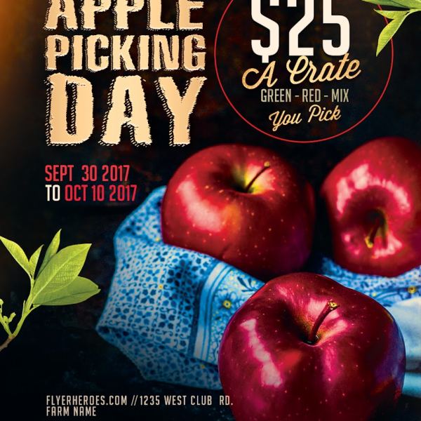 Apple Picking Flyer Design Package