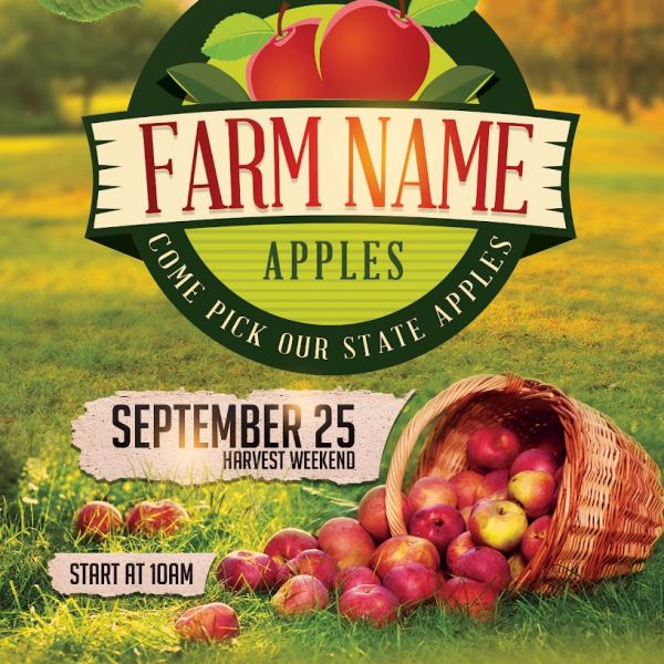 Professional Fall Flyer Template Access