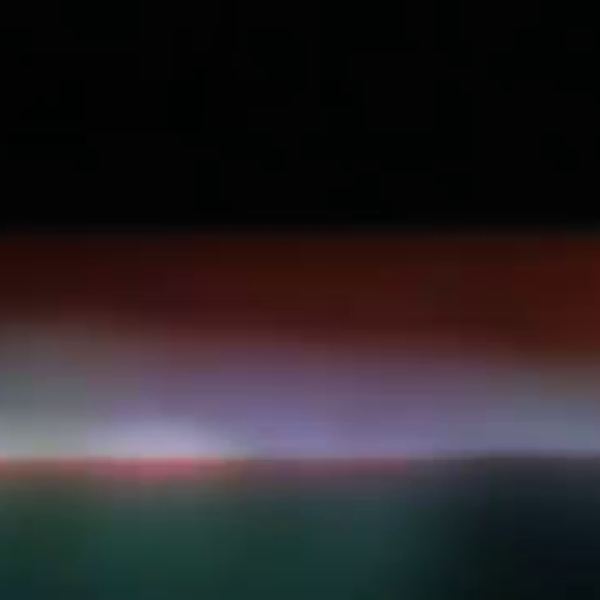 Umfassende Sammlung digitaler Assets - Google Drive-Zugriff