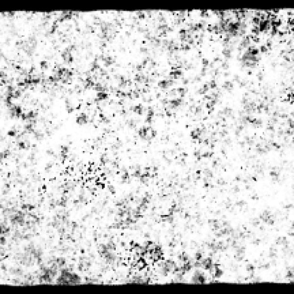 Brush Strokes Collection (20 PNG Files)