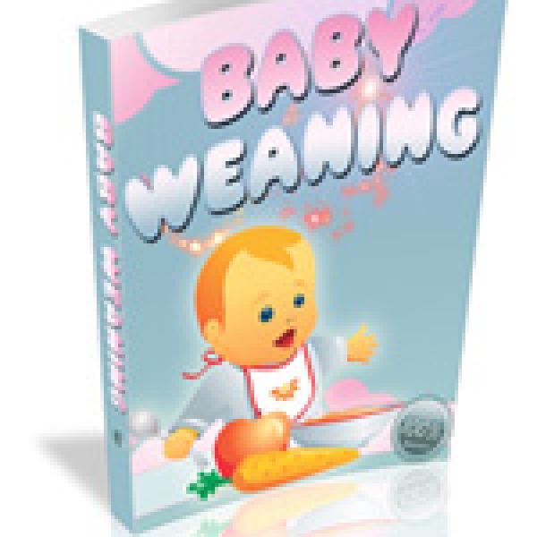 Umfassender Babybeikost-Ressourcenordner