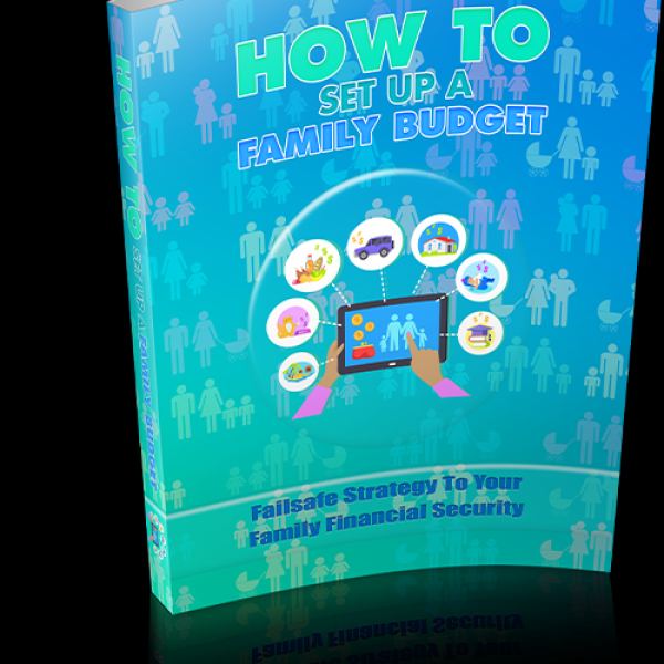 Family Budget Setup Guide - Comprehensive Google Drive Access