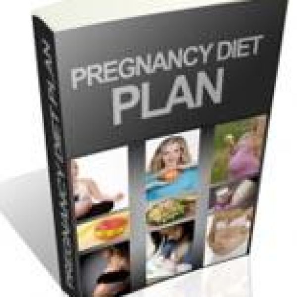 Comprehensive Pregnancy Diet Plan Access