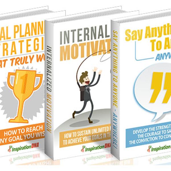 Zugang zur Sammlung von 3 Bänden 40 - Motivations- und Planungsressourcen