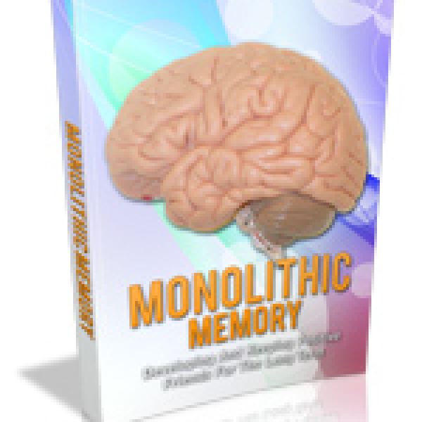 حزمة الوصول إلى الذاكرة الأحادية