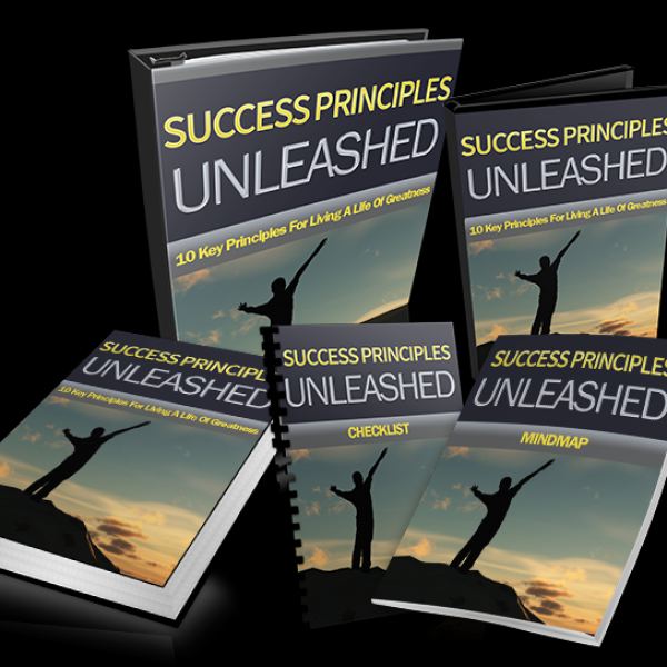 الوصول إلى مبادئ النجاح المحررة في مجلد Google Drive