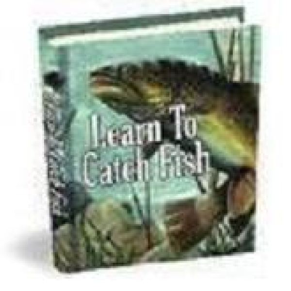 Ultimativer Angelguide: Wie man Fische fängt Zugang