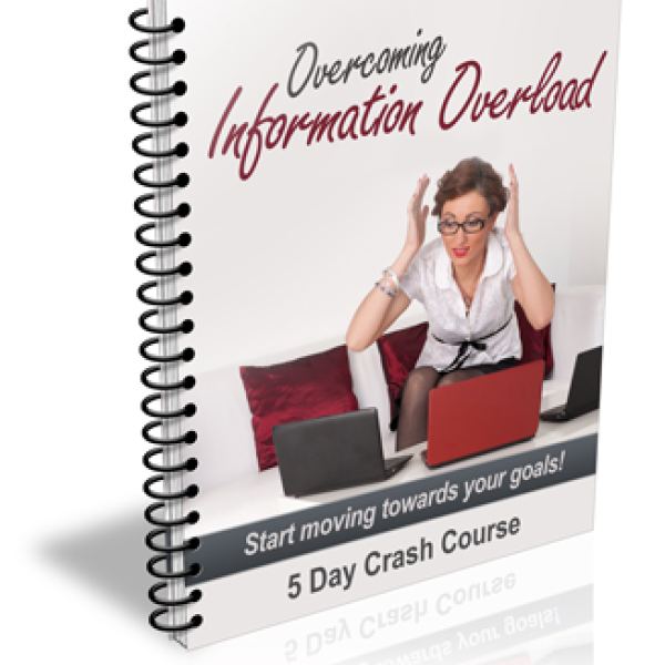 Überwinde Informationsüberflutung - Umfassender digitaler Ressourcenordner