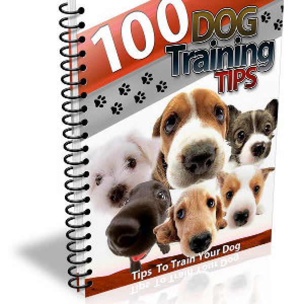 100 Hundetrainingstipps - Umfassende digitale Ressource