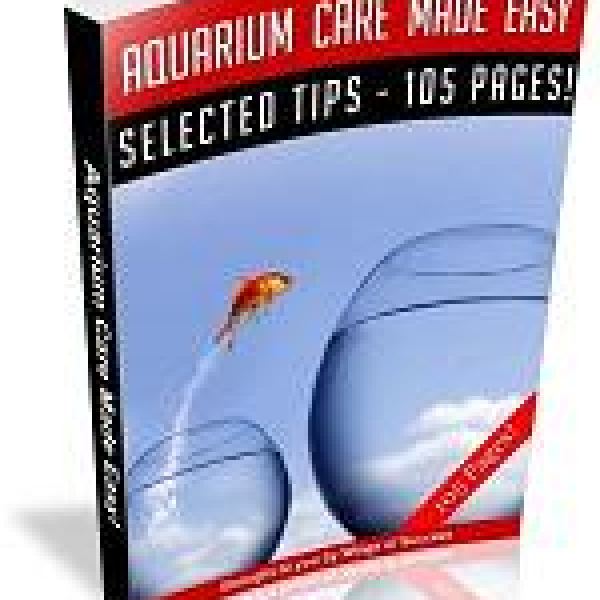 Aquarium-Pflege leicht gemacht - Zugriff auf digitale Ressourcen