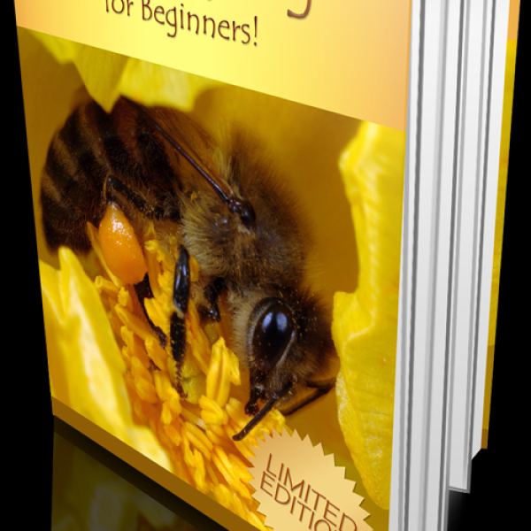 تربية النحل للمبتدئين - وصول شامل إلى الموارد الرقمية