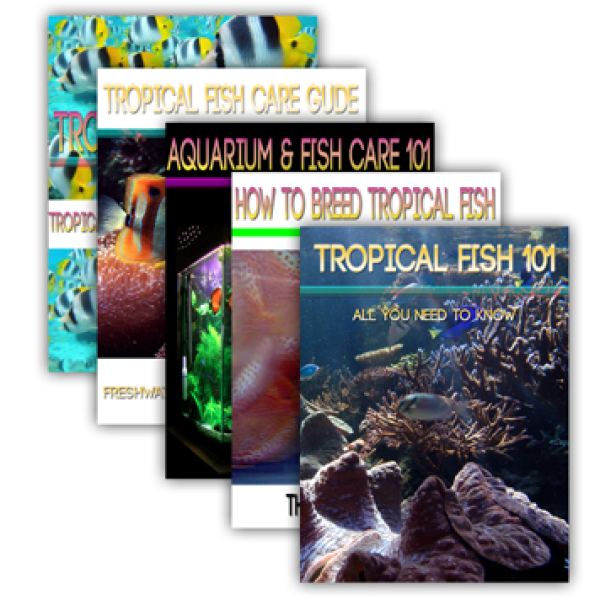 Große Sammlung von Aquarienfisch-Titeln - Digitaler Zugang