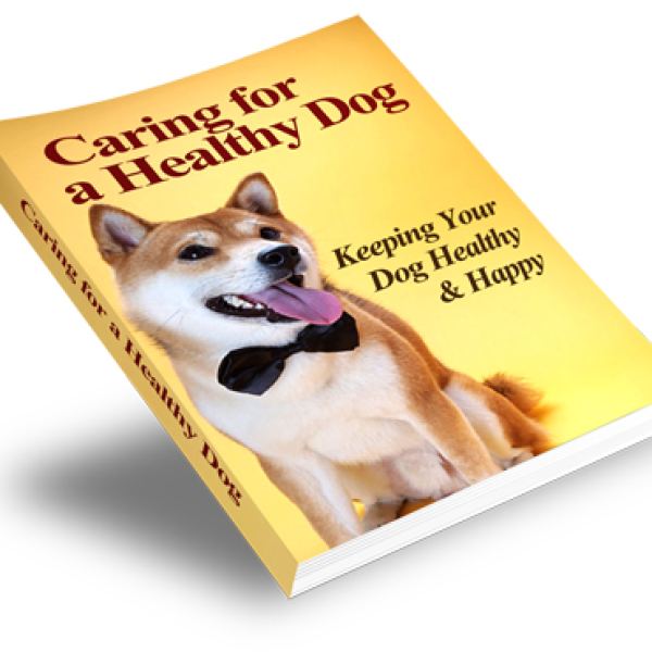 العناية بكلب صحي - مجلد موارد شامل