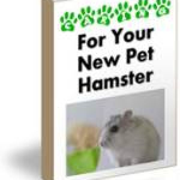 Umfassender Leitfaden zur Pflege Ihres Haustierhamsters