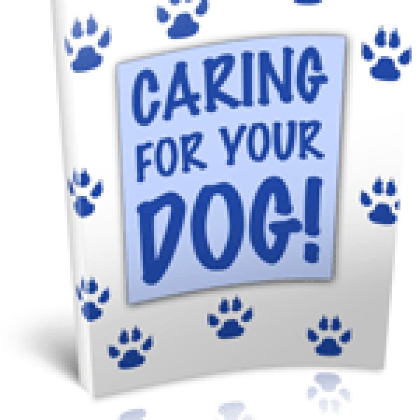 Die Pflege Ihres Hundes - Digitaler Ressourcenordner