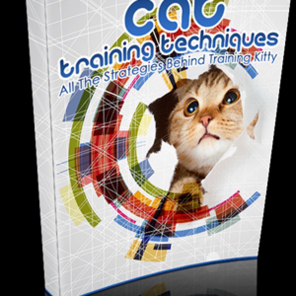 Umfassende Techniken zur Katzenausbildung Zugriff