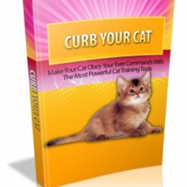 Zähme Deine Katze: Essenzielle Ressourcen für Katzenbesitzer