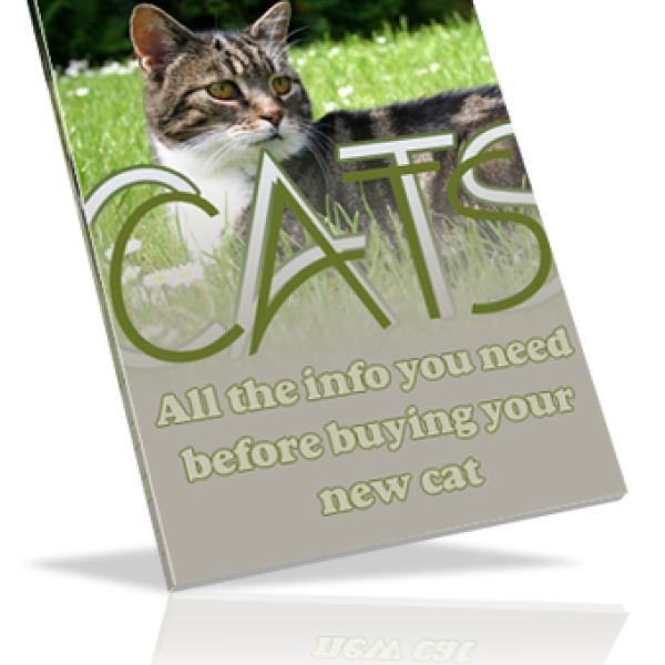 Exklusiver Zugang zum digitalen Ressourcenordner für Katzen