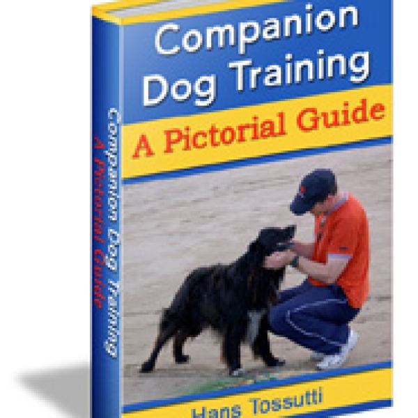 Umfassende Ressourcen für das Training von Begleithunden