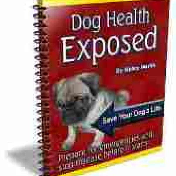 Hundegesundheit Enthüllt: Umfassender Ressourcenordner