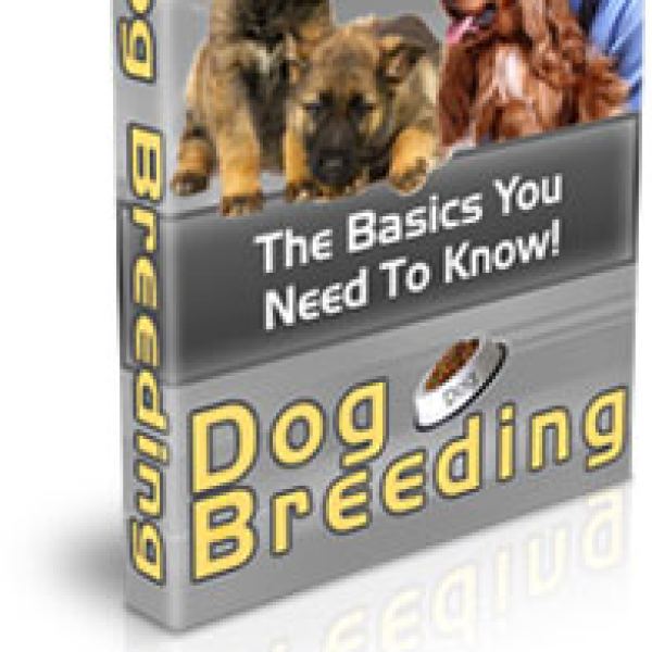 Umfassender Ordner für Hundezuchtressourcen