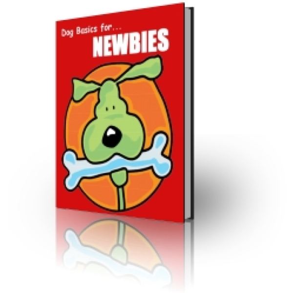 Umfassender Ressourcenordner für Hundebasics