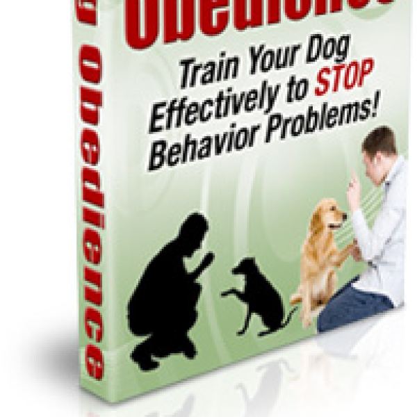 Umfassender Ordner für Hundetraining