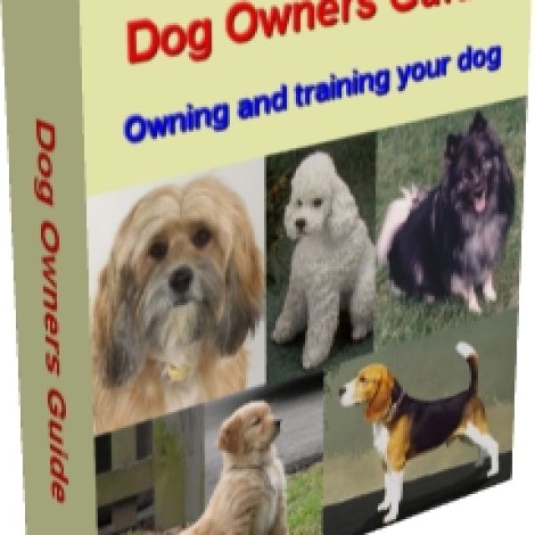 Umfassender Leitfaden für Hundebesitzer Zugriff