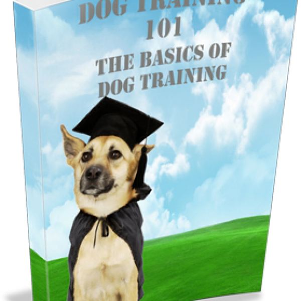 Hundetraining Tipps 101 - Umfassende digitale Ressource