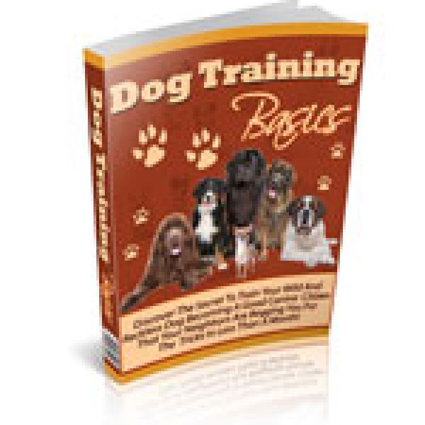 Umfassende Grundlagen der Hundetraining - Google Drive Zugriff