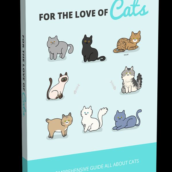 Für die Liebe der Katzen - Komplettes digitales Ressourcenpaket