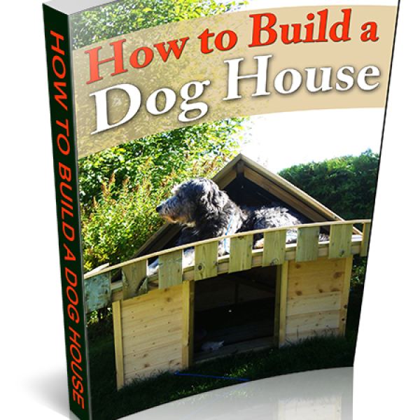 Ultimativer Leitfaden zum Bau eines Hundeshauses - Google Drive Zugriff