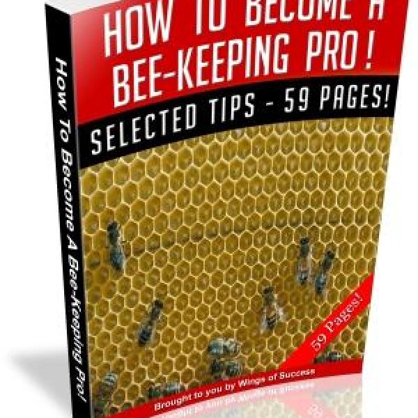 Werde ein Profi im Imkern: Umfassender Zugang zum Leitfaden