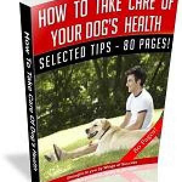 Umfassender Leitfaden für die Gesundheit Ihres Hundes