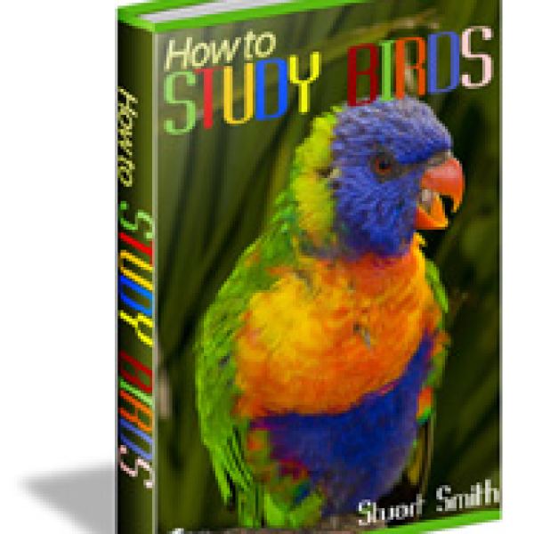 Wie man Vögel studiert - Umfassender Ressourcenordner