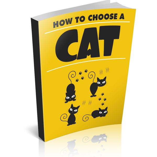 Wie man eine Katze auswählt - Umfassender Leitfaden Zugriff